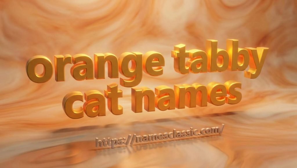 orange tabby cat names